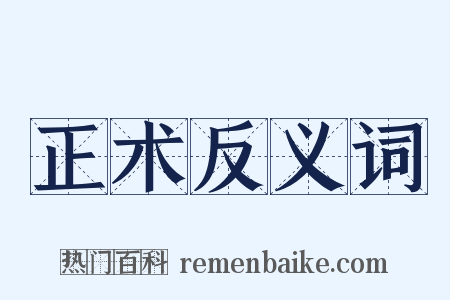 正术反义词是什么意思的图片